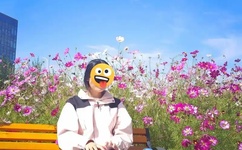 里番ACG之熟蜜姬纲手